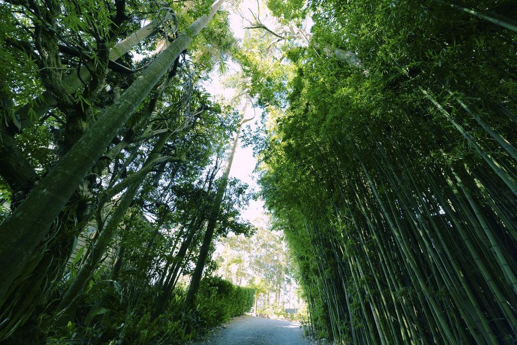 Escarpment Retreat & Day Spa For Couples Mount Tamborine Exteriér fotografie