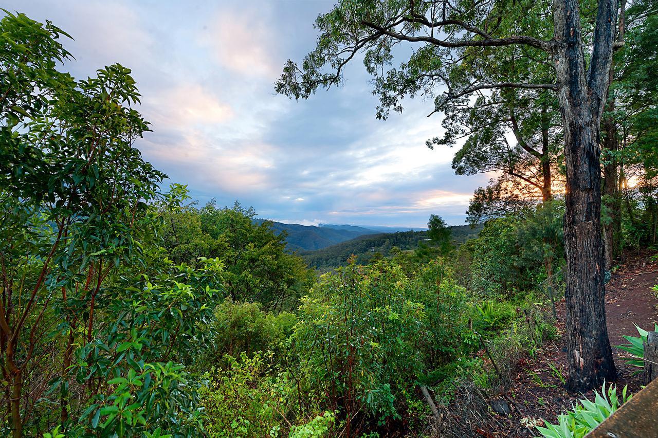 Escarpment Retreat & Day Spa For Couples Mount Tamborine Exteriér fotografie