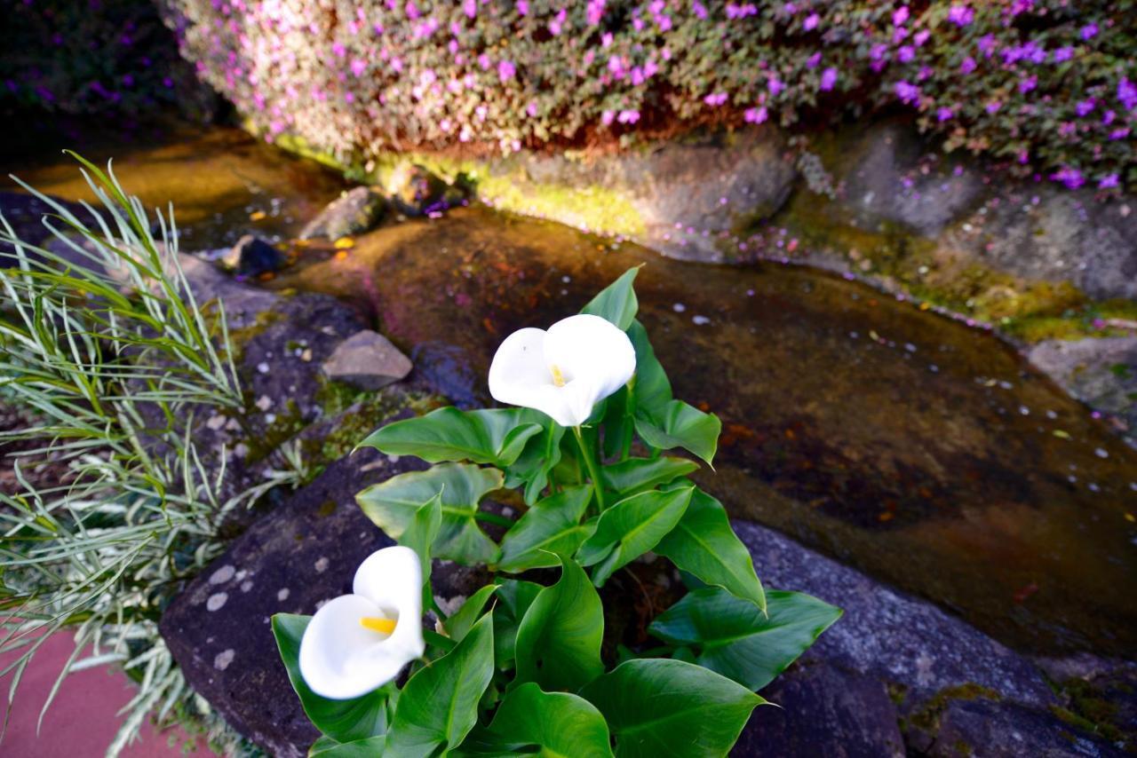 Escarpment Retreat & Day Spa For Couples Mount Tamborine Exteriér fotografie